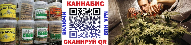 Купить закладки  Камызяк  Canna-Cookies марихуана 