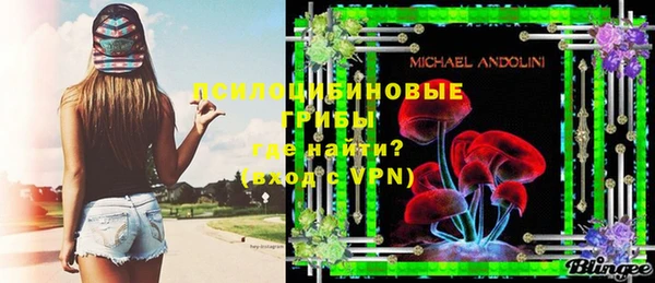 марки nbome Гусь-Хрустальный
